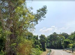 serangoon-garden-estate photo thumbnail #4